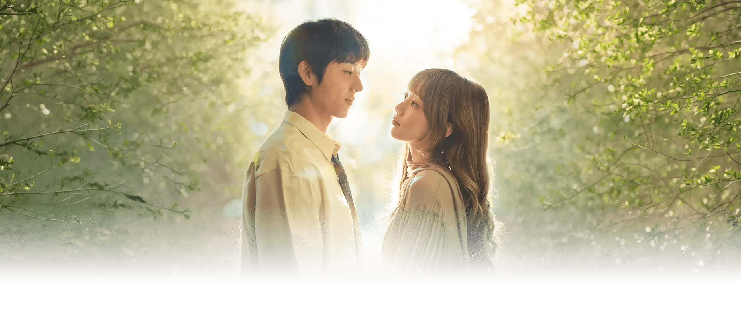 在你的灿烂季节