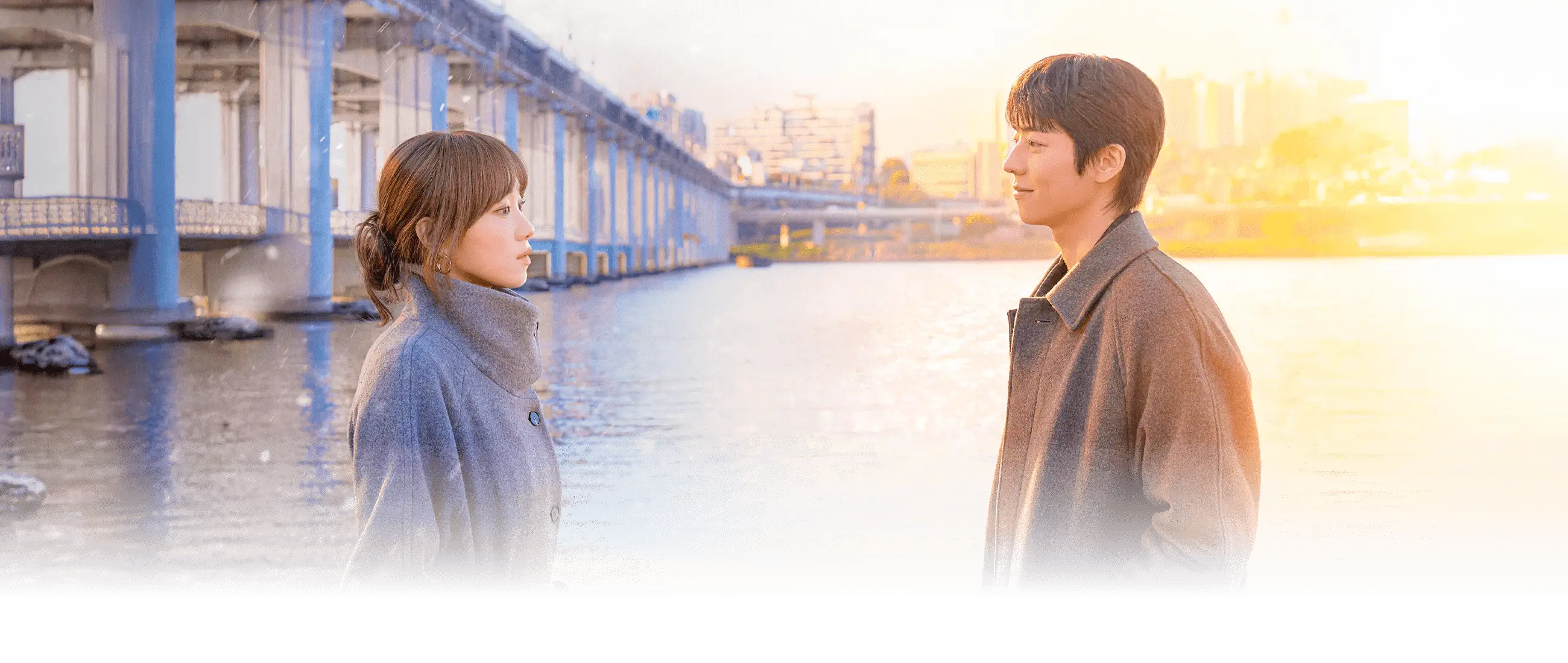 在你的灿烂季节