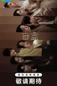 盲盒